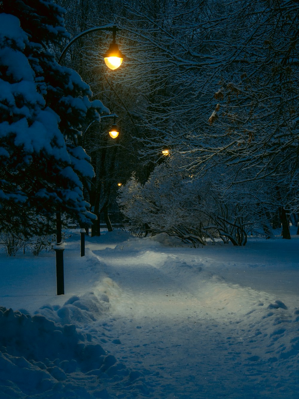 a snowy path with a street light in the distance