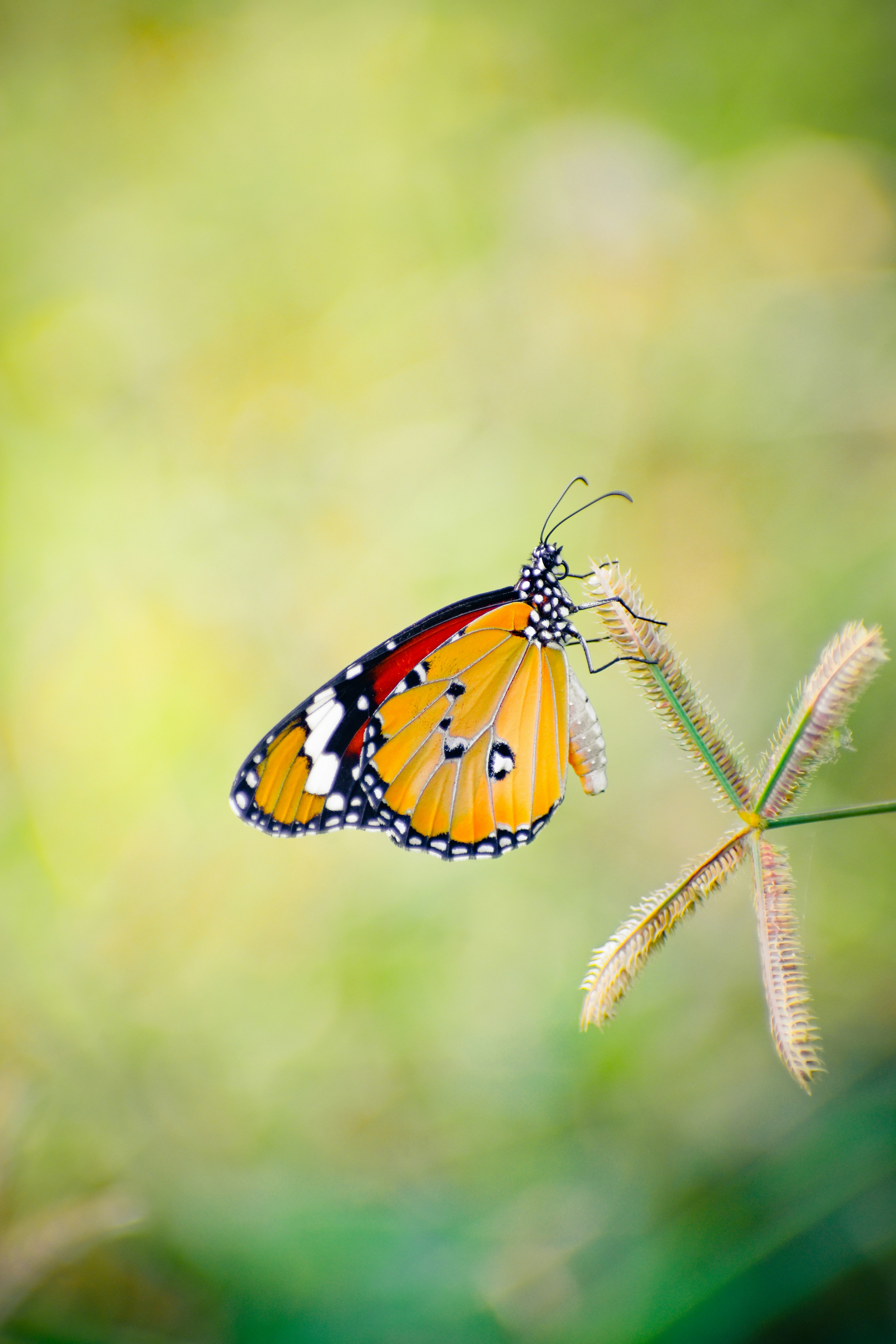 Photo by hacker_camerwork