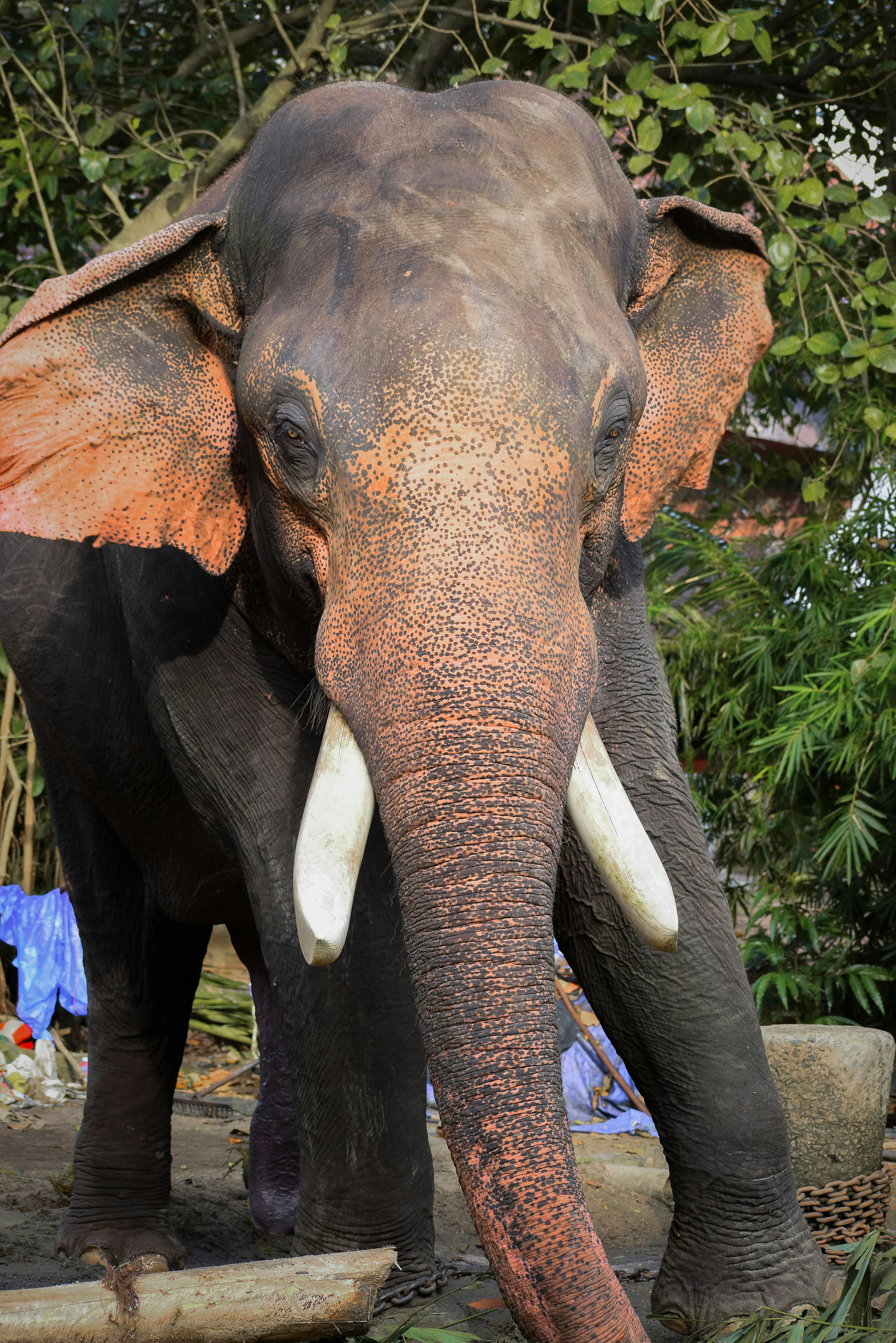 Photo by hacker_camerwork