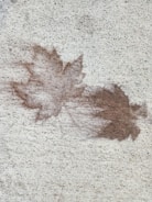Two maple leaf silhouettes appear on a rough, textured surface. The leaves are dark brown, contrasting with the lighter beige background.