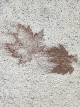 Two maple leaf silhouettes appear on a rough, textured surface. The leaves are dark brown, contrasting with the lighter beige background.