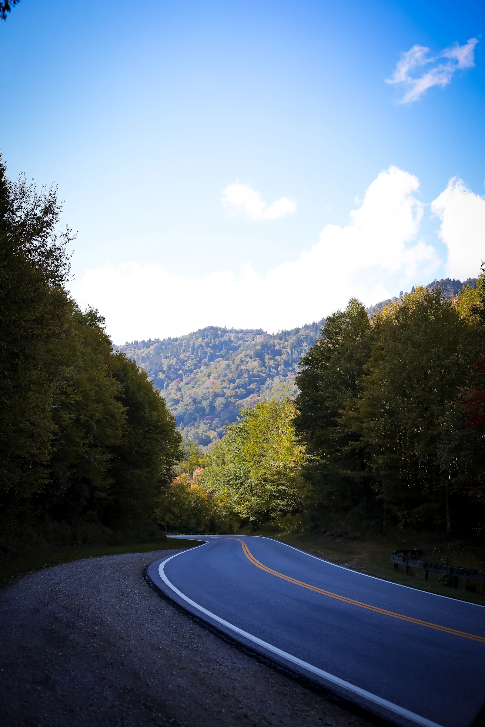 Carretera de montaña en curva rodeada de vegetación densa