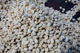 A substantial pile of raw coffee beans is displayed in close-up, showcasing their light, unroasted color and detailed texture. Some beans are scattered around the central pile, indicating they are spread out on a surface, possibly for drying or sorting.