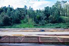 A lush green hillside is in the background, with dense trees and vegetation. In the foreground, there are large drying racks, likely for agricultural use, with netting and covered with a light-colored material.