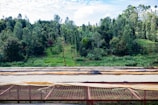 A lush green landscape with dense forested hills in the background and a flat, grassy area leading up to the trees. In the foreground, there are drying racks covered with netting, possibly used for drying crops like coffee beans or grains. The sky is partly cloudy with a mix of white clouds and blue sky.