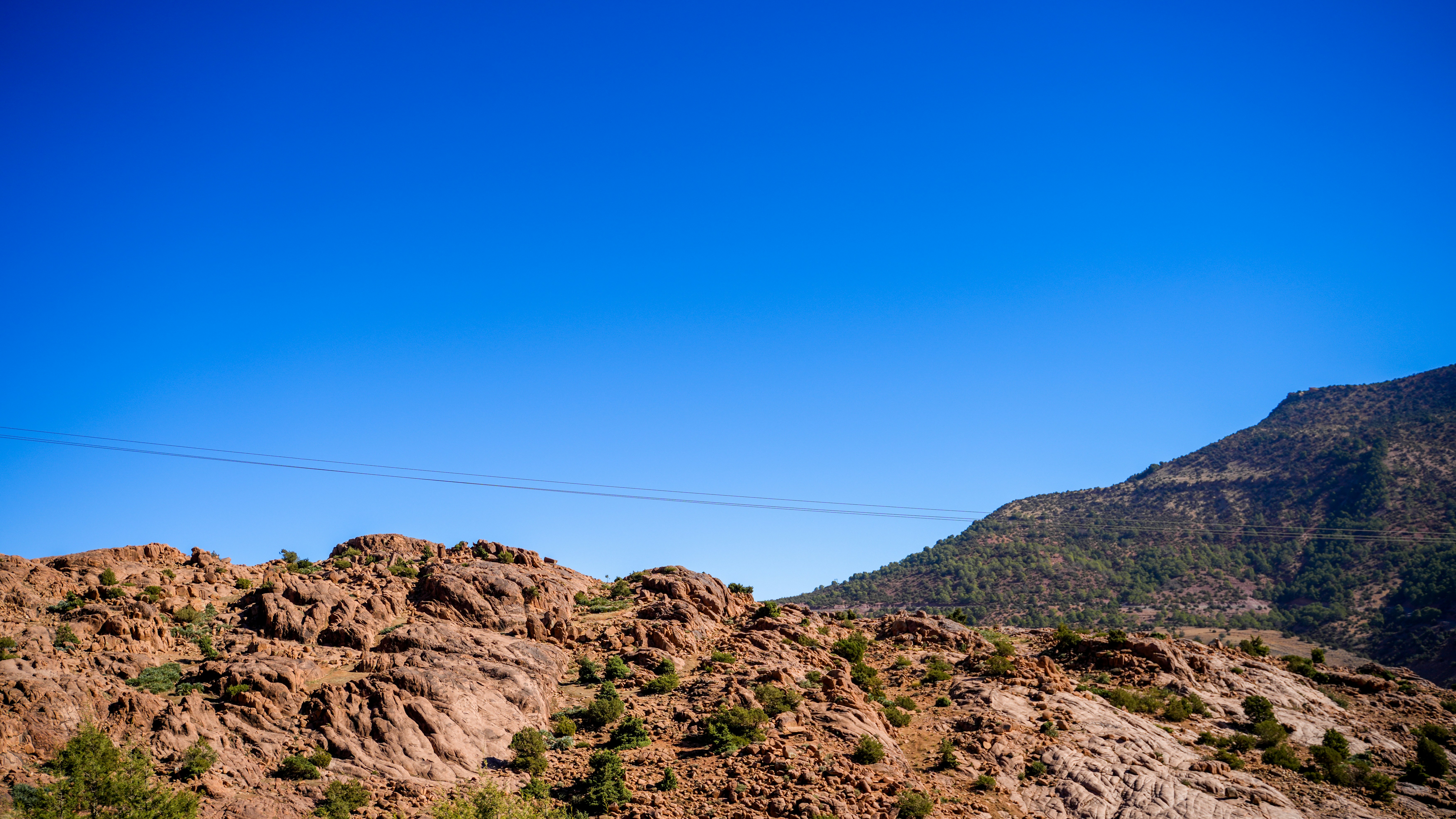 Photo by josh_na_lang