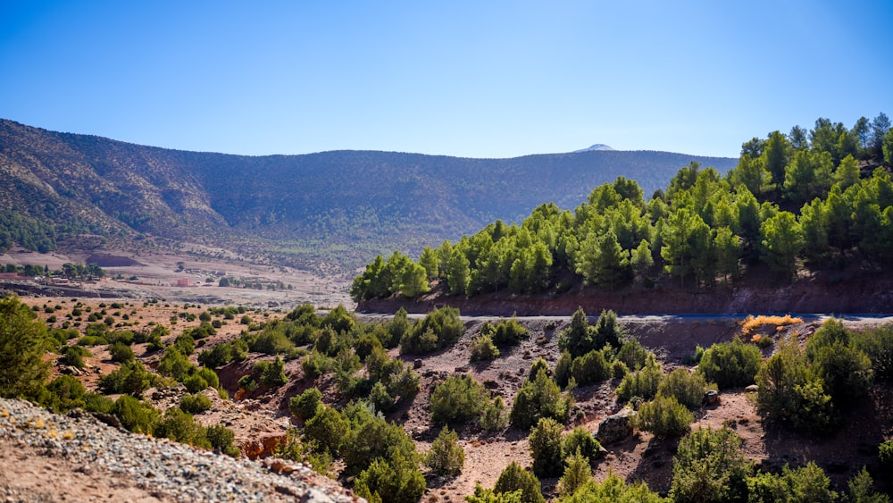 a scenic view of a valley with trees and mountains in the background