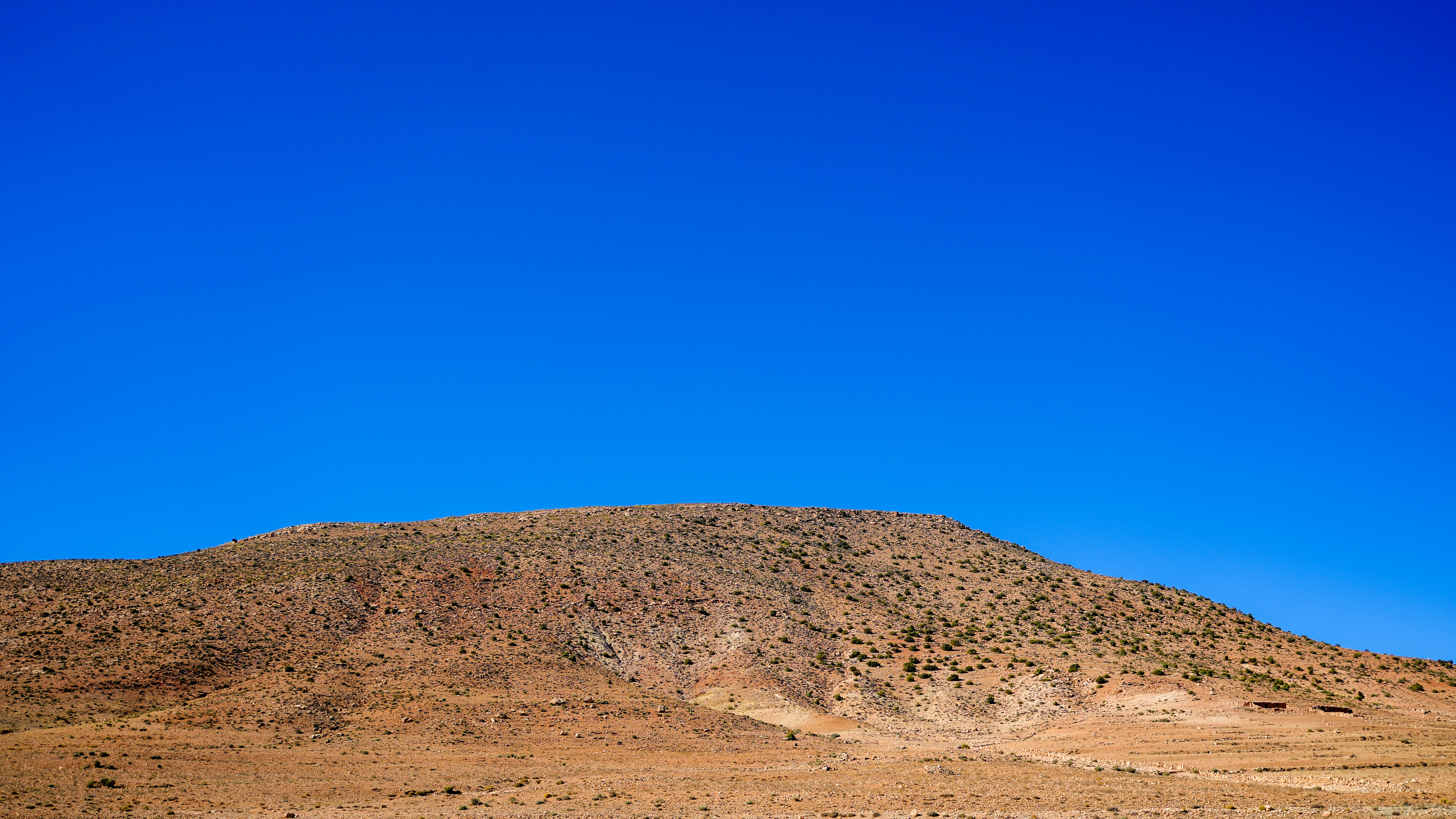 Photo by josh_na_lang