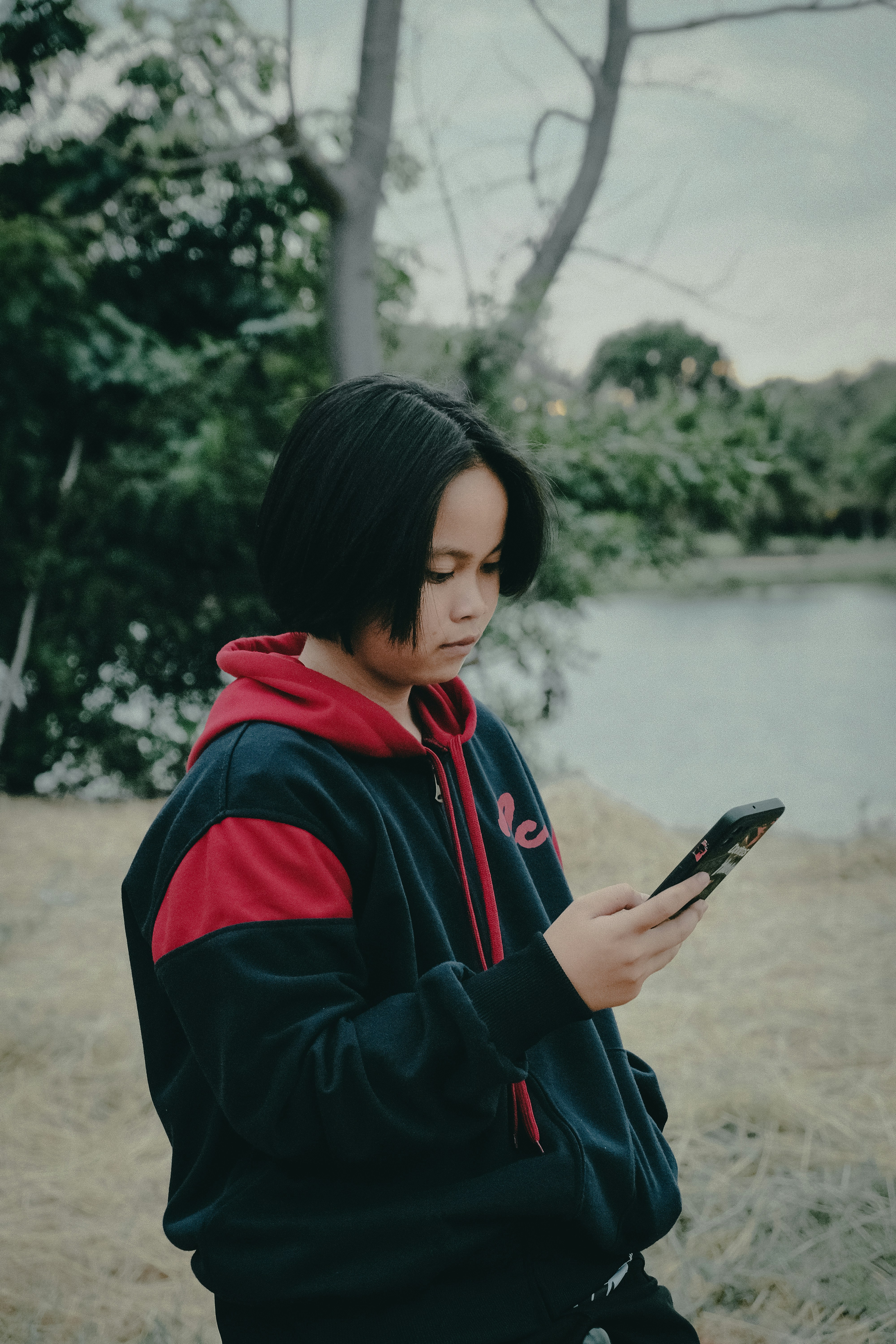 A person standing in a field looking at a cell phone photo – Free ...