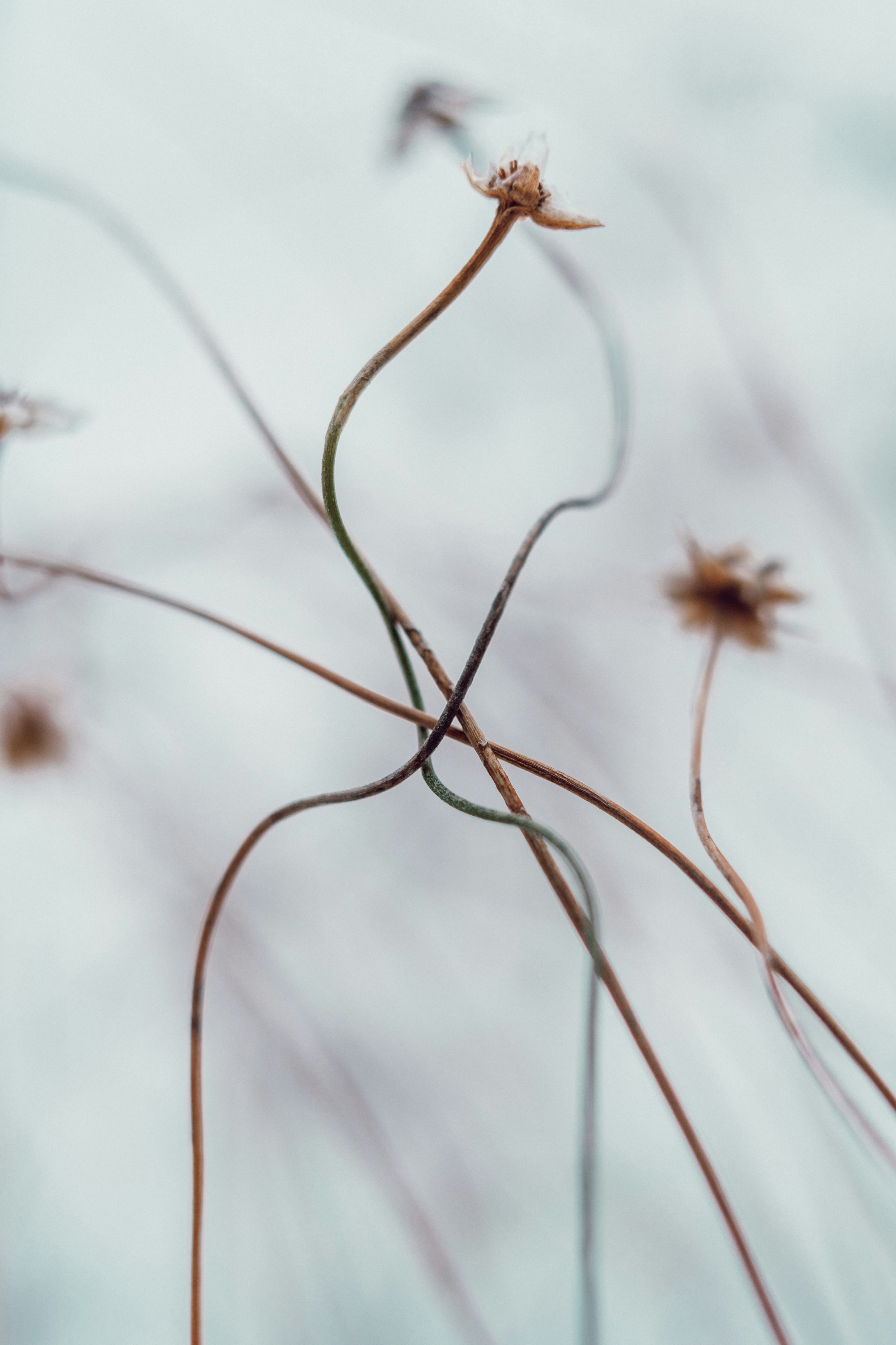 Photo by anamnesis33