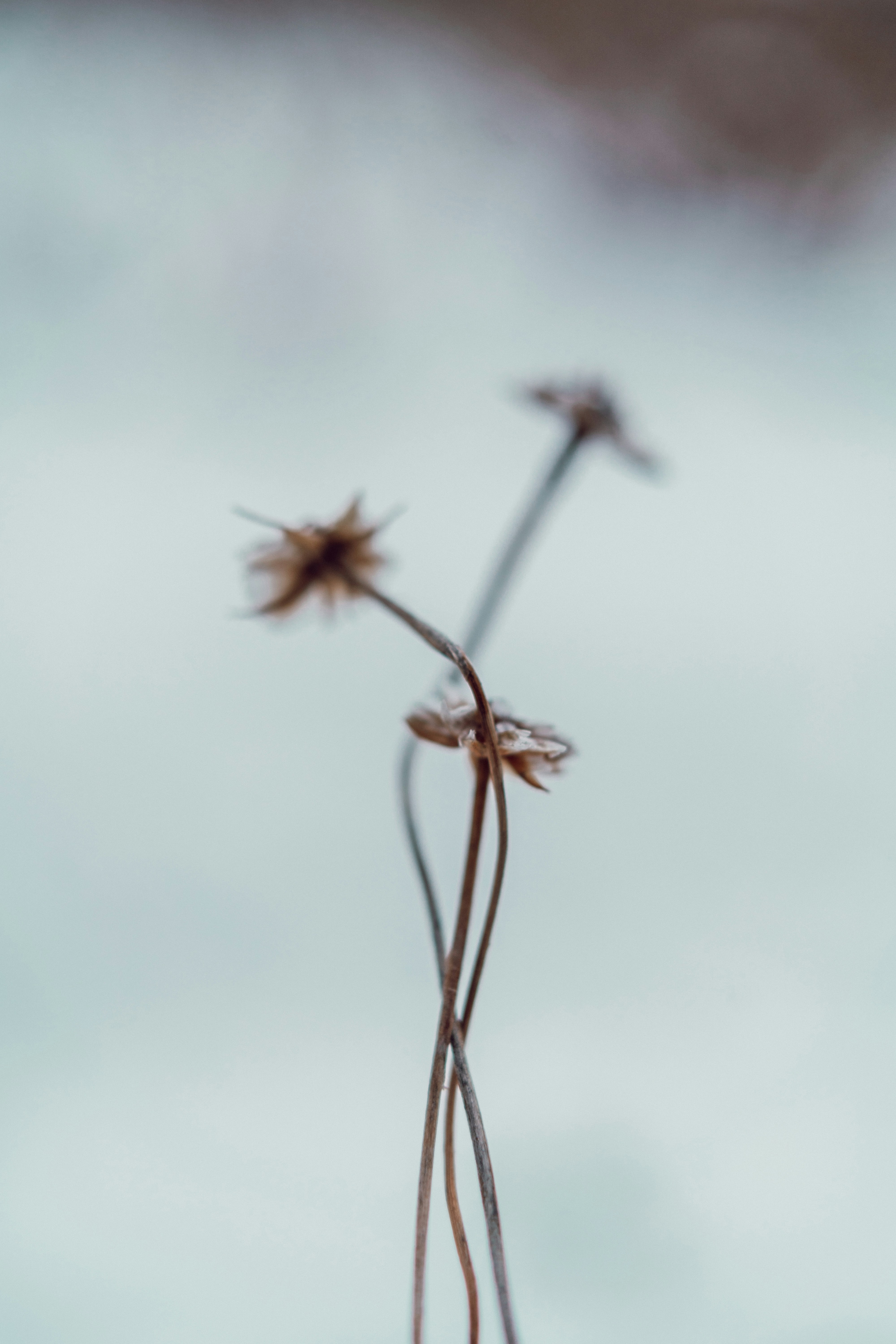 Photo by anamnesis33