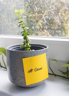 A small green plant is growing in a gray-speckled pot placed on a windowsill. There is a yellow sticky note on the pot with the handwritten message '#Grow'. The background shows a window with soft, natural light coming through.