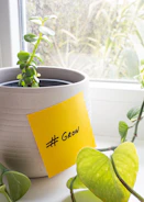 a potted plant with a yellow sticker on it