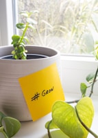 a potted plant with a yellow sticker on it