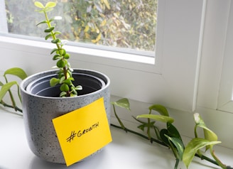 a potted plant with a yellow sticker on it