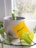 A small green plant grows in a textured, grayish pot located on a windowsill. Sunlight filters through the window, illuminating the vibrant leaves. A yellow sticky note with '#Growth' written on it is attached to the pot. The background shows the blurred outlines of a garden outside.