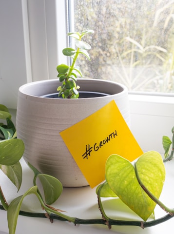 A small green plant grows in a textured, grayish pot located on a windowsill. Sunlight filters through the window, illuminating the vibrant leaves. A yellow sticky note with '#Growth' written on it is attached to the pot. The background shows the blurred outlines of a garden outside.