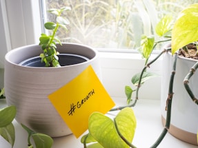 A small plant is potted in a grey ceramic planter placed on a windowsill. Another plant, with trailing vines and yellow-green leaves, is growing in a white pot next to it. A yellow sticky note with the word '#GROWTH' written on it is attached to the front of the grey planter. Outside the window, some blurry outdoor vegetation is visible.