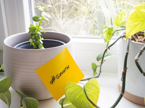 A small plant is potted in a grey ceramic planter placed on a windowsill. Another plant, with trailing vines and yellow-green leaves, is growing in a white pot next to it. A yellow sticky note with the word '#GROWTH' written on it is attached to the front of the grey planter. Outside the window, some blurry outdoor vegetation is visible.