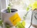 A small plant is potted in a grey ceramic planter placed on a windowsill. Another plant, with trailing vines and yellow-green leaves, is growing in a white pot next to it. A yellow sticky note with the word '#GROWTH' written on it is attached to the front of the grey planter. Outside the window, some blurry outdoor vegetation is visible.