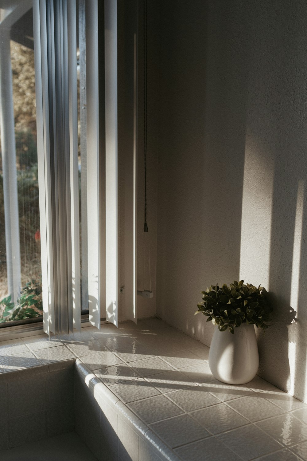 a vase with a plant in it sitting on a window sill