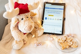 A cozy winter scene with a stuffed moose toy wearing a red hat, next to a tablet displaying a social media management site. The setup is on a white knitted blanket adorned with string lights and Christmas ornaments. A clear plate with various gingerbread cookies adds to the festive mood.