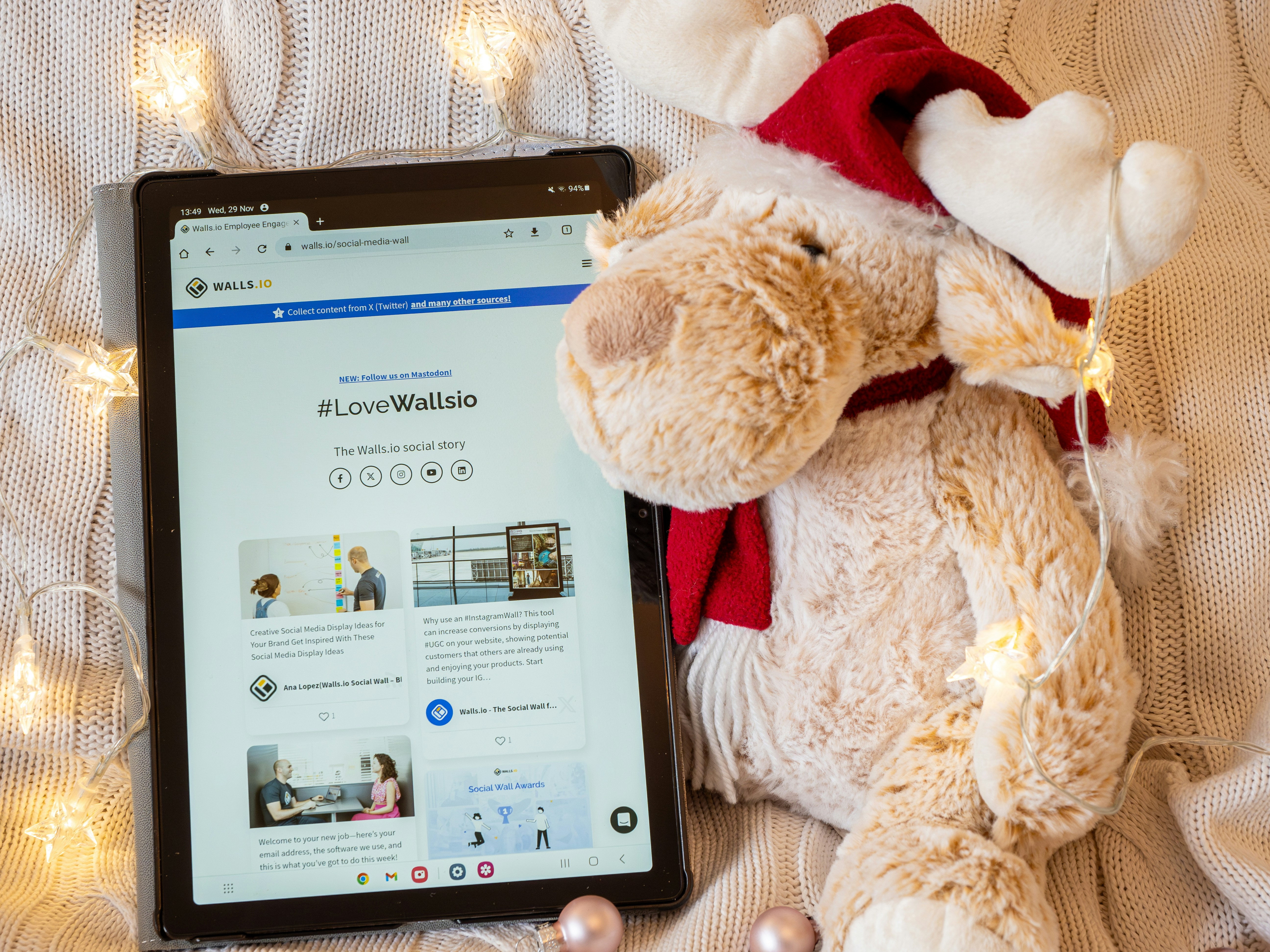 Meet Jasper the Dreamer