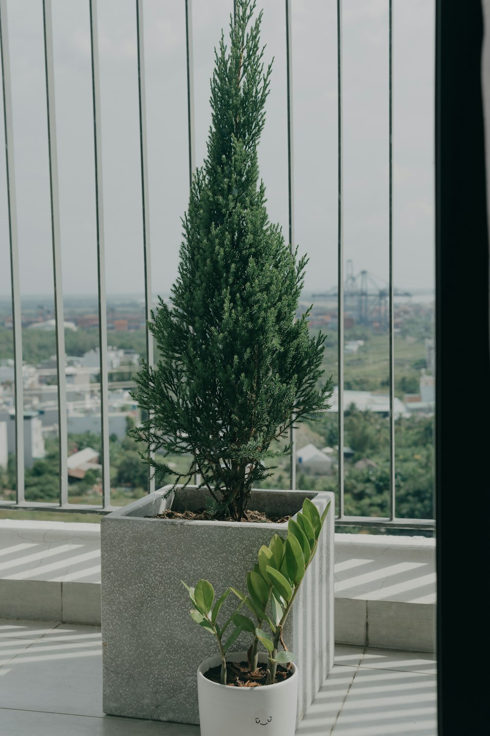 a potted plant sitting on top of a table