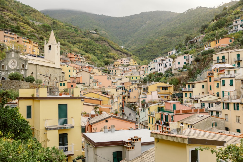 a view of a city with mountains in the background