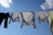 A clear sky serves as the backdrop for several pieces of clothing hanging on a drying line, including white shirts and other garments. The bright sunlight creates shadows and highlights the texture of the fabric.