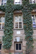 A building facade with vertical stone columns covered with dense green ivy. Large windows are symmetrically arranged, displaying reflections of the surroundings. Plaques are embedded into the stone wall, with one reading 'Class 1921 Ivy.'.