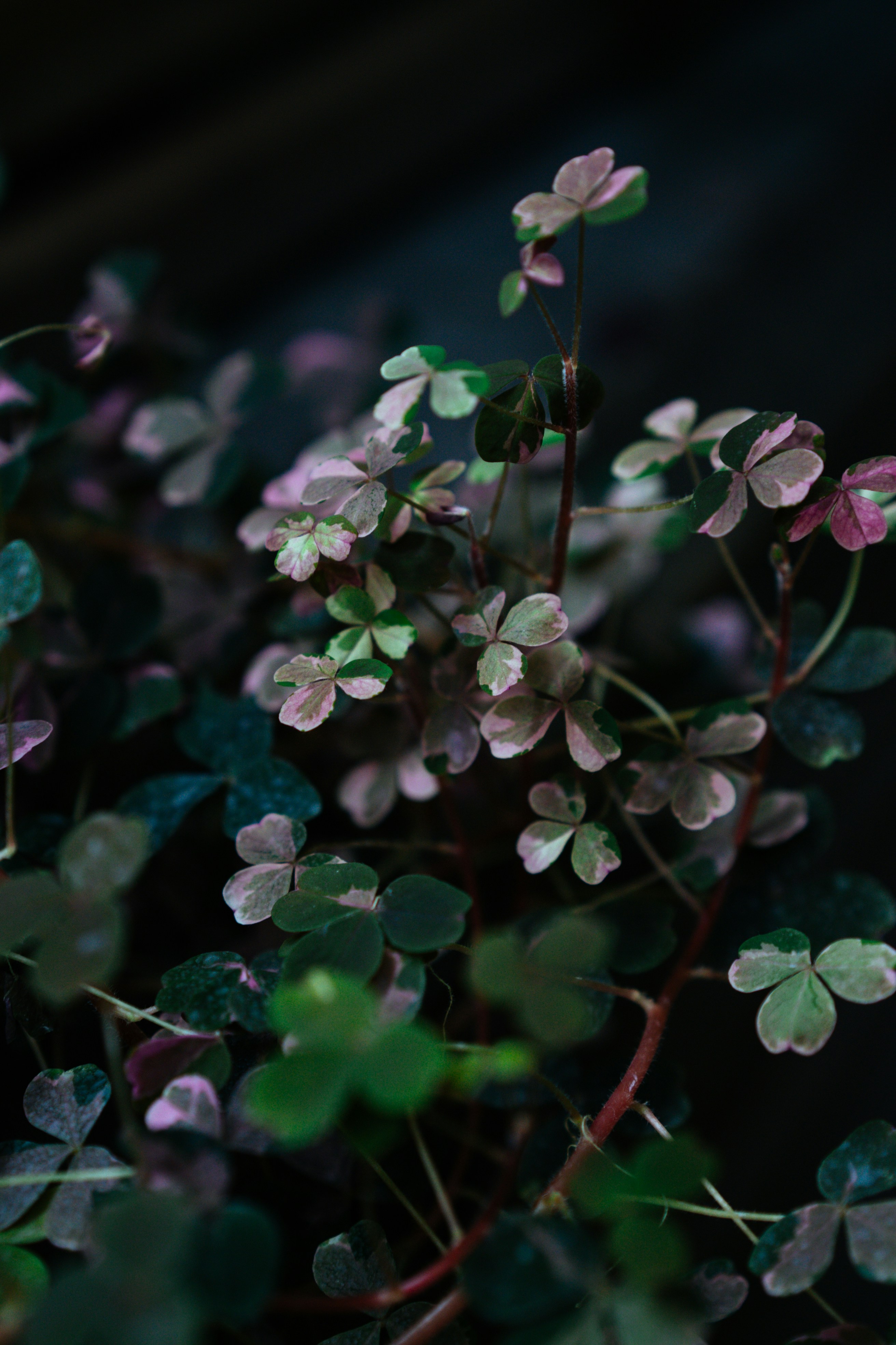 Photo by anamnesis33