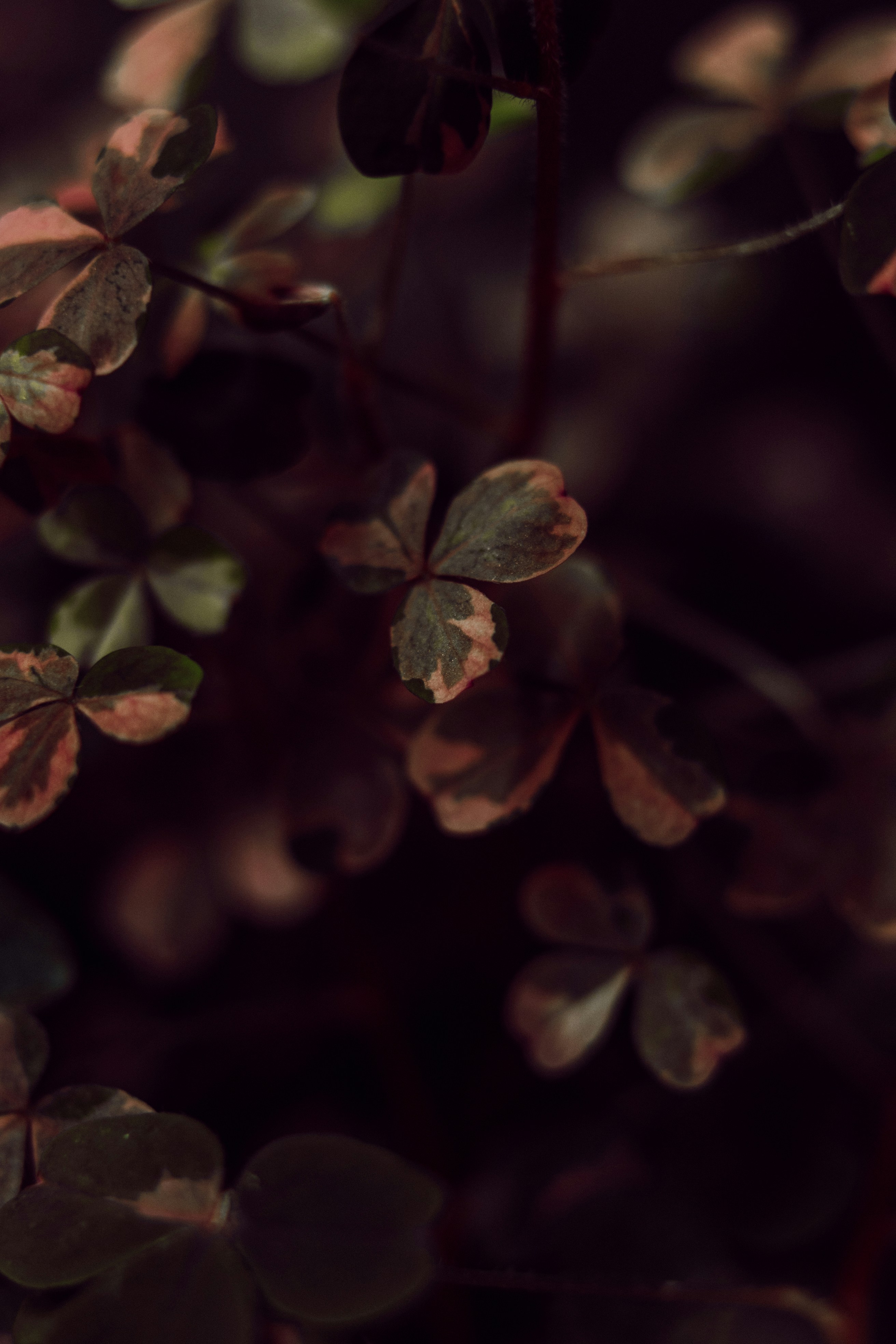 Photo by anamnesis33