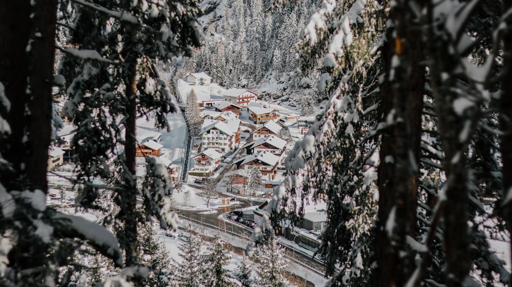 a view of a ski resort through the trees