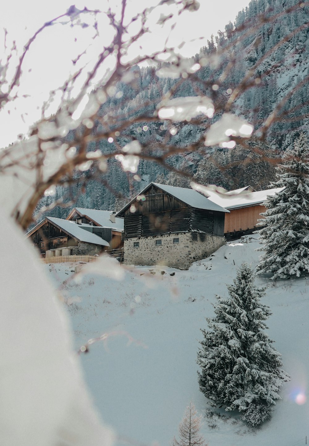 uma montanha coberta de neve com uma casa ao fundo