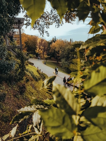 A group of women enjoying a peaceful walk through a lush green park framed by autumn leaves.