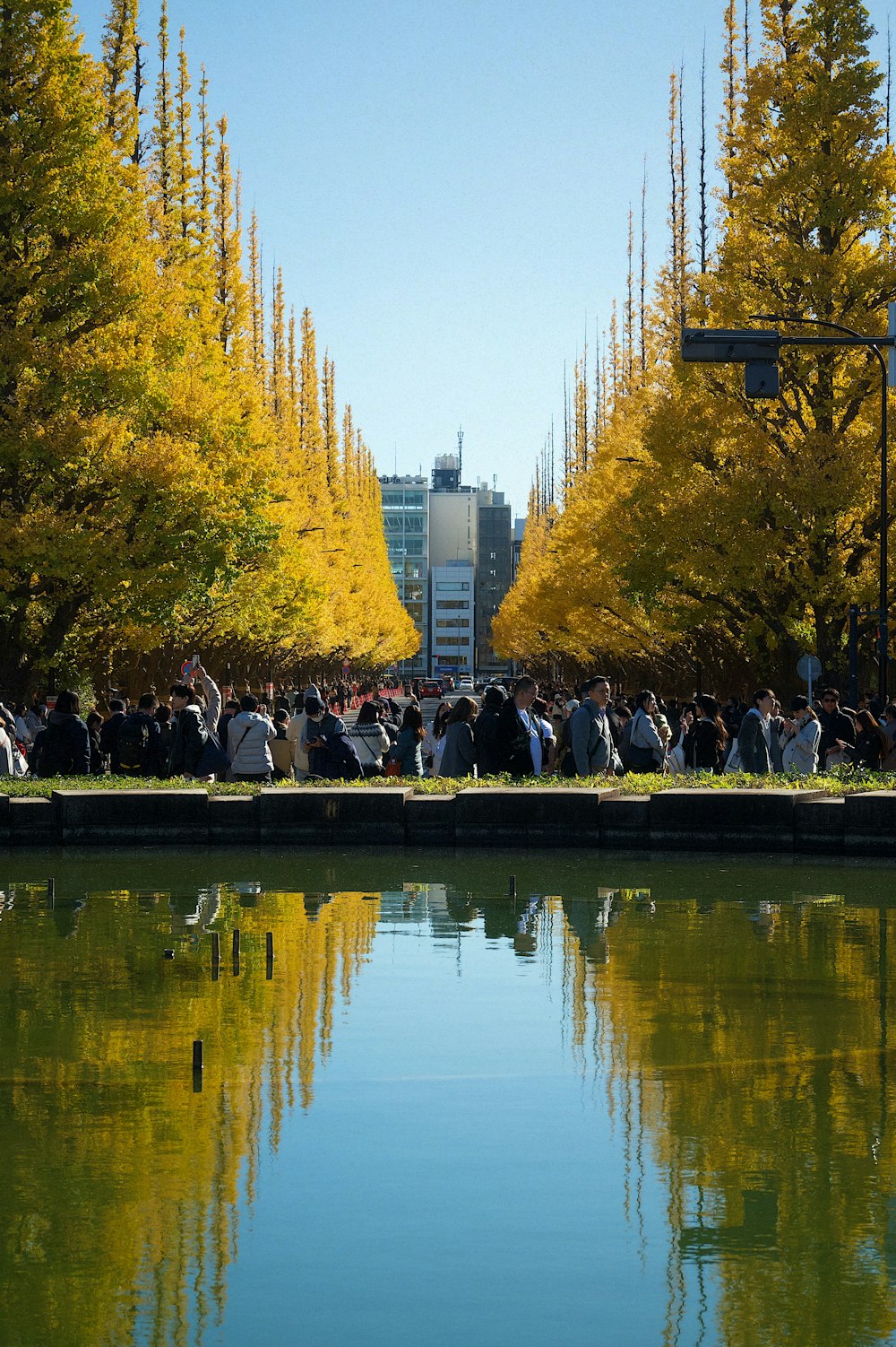 a group of people standing next to a body of water