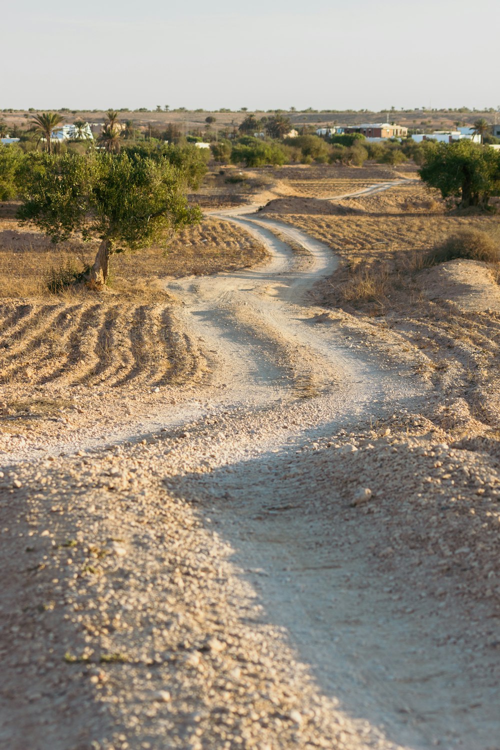 Una strada sterrata in mezzo a un deserto