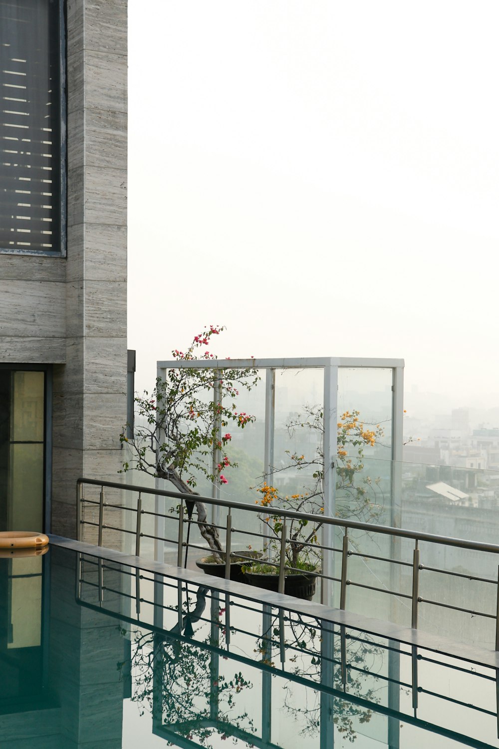 a plant in a pot sitting on the edge of a swimming pool