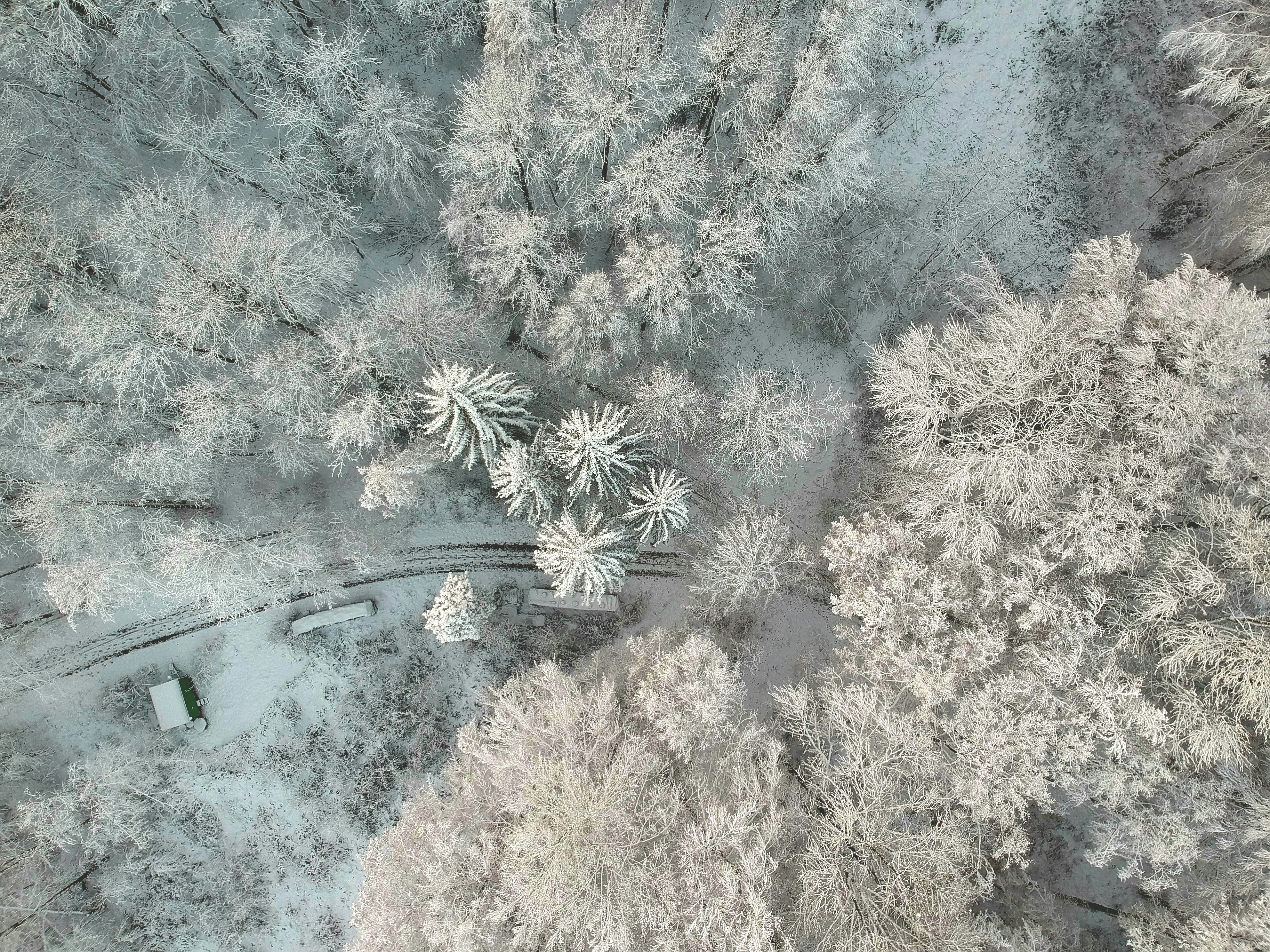 an aerial view of a snow covered forest
