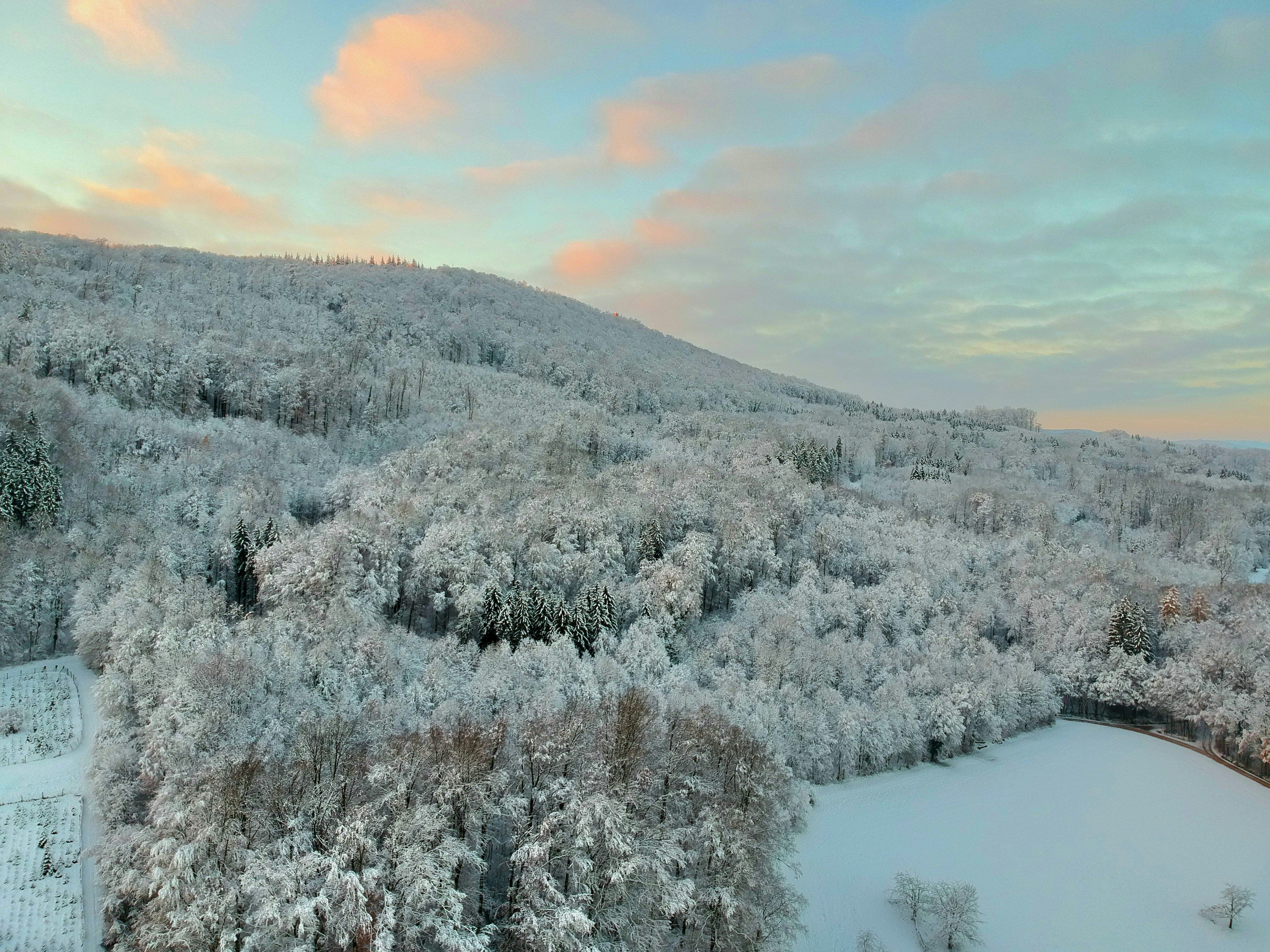 an aerial view of a snow covered forest
