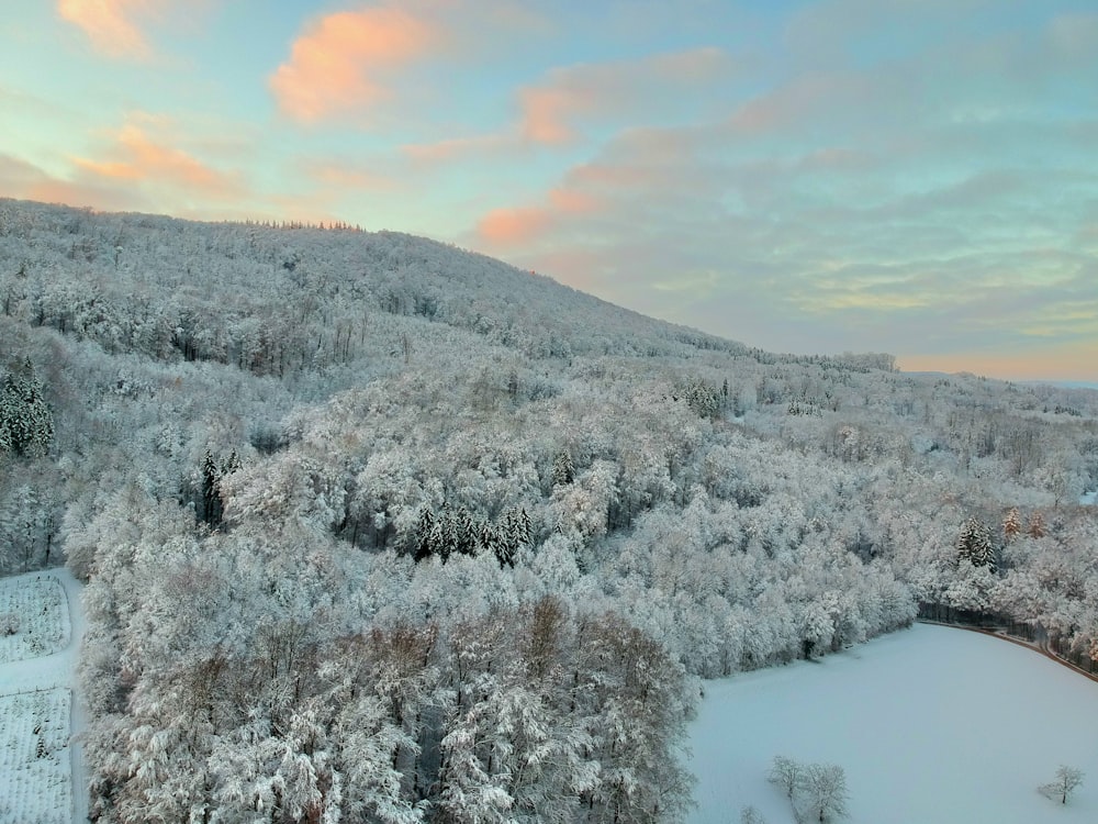 an aerial view of a snow covered forest