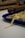 Freshly made pasta is laid out in a blue tray on a white countertop. In the background, there is a wooden rolling pin, slightly out of focus.