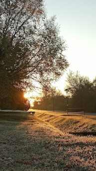 A serene sunrise over a quiet garden bench, symbolizing hope and new beginnings in grief recovery.