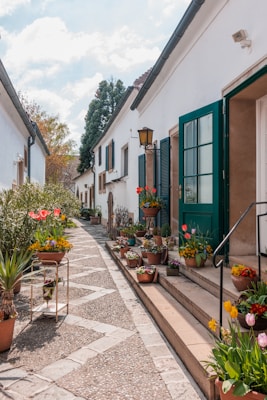 A narrow, sunlit alleyway lined with small white houses adorned with green shutters. The pathway is decorated with various potted plants and flowers, adding vibrant splashes of color. The setting is peaceful and charming, with a quaint and inviting atmosphere.