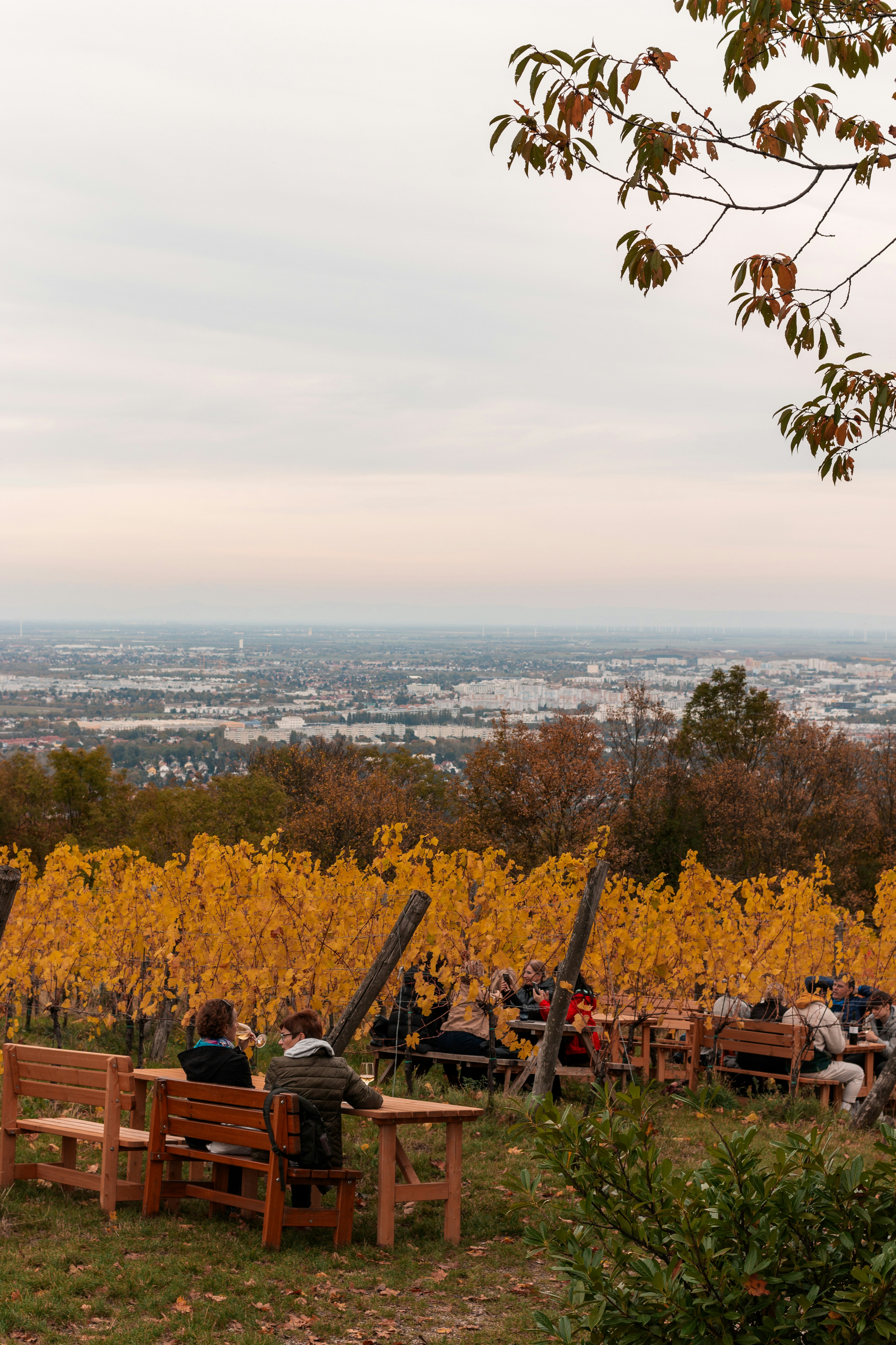 Visitors enjoying a guided wine tasting in Napa Valley.