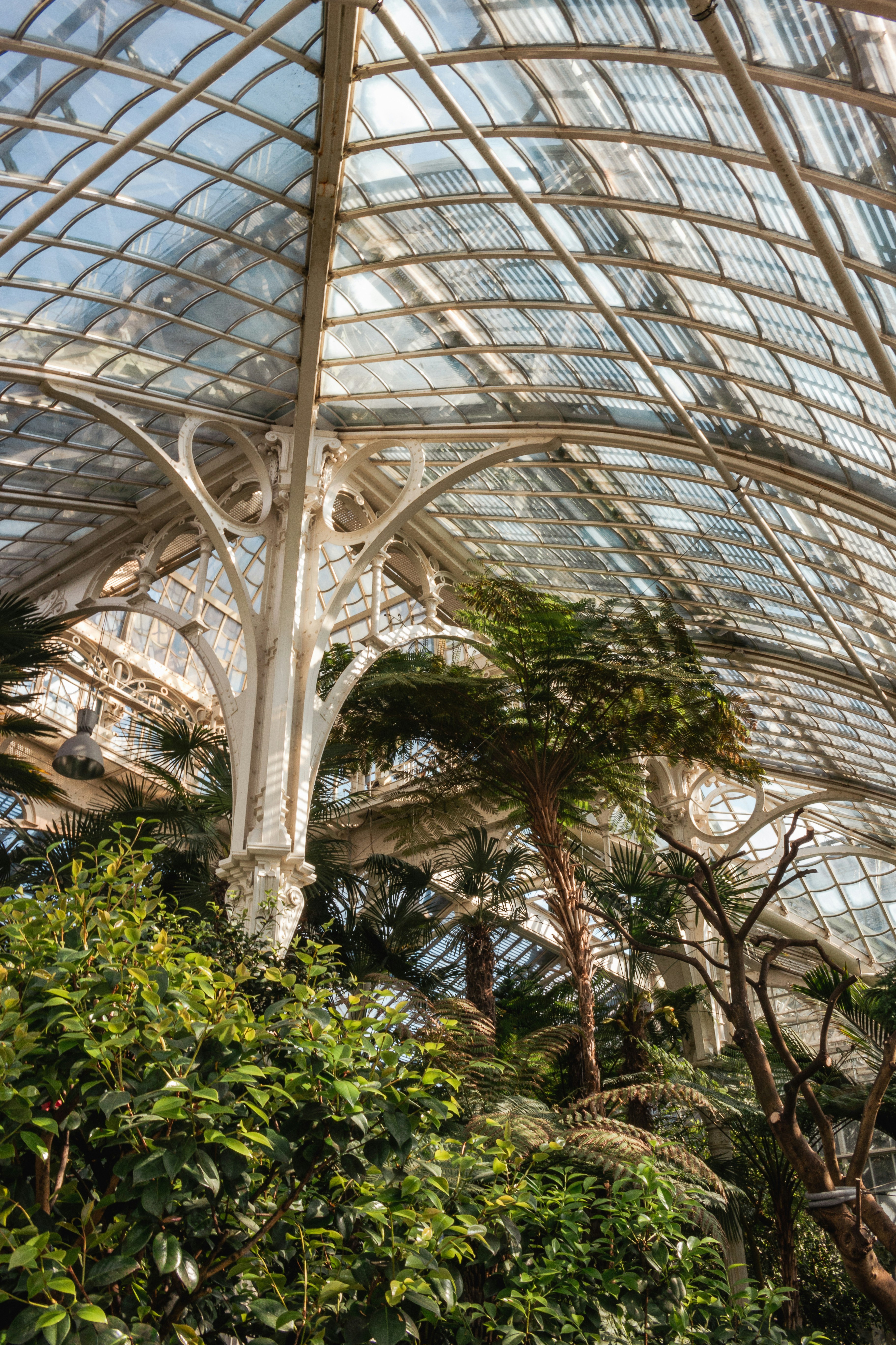 Photo by rvasilovski