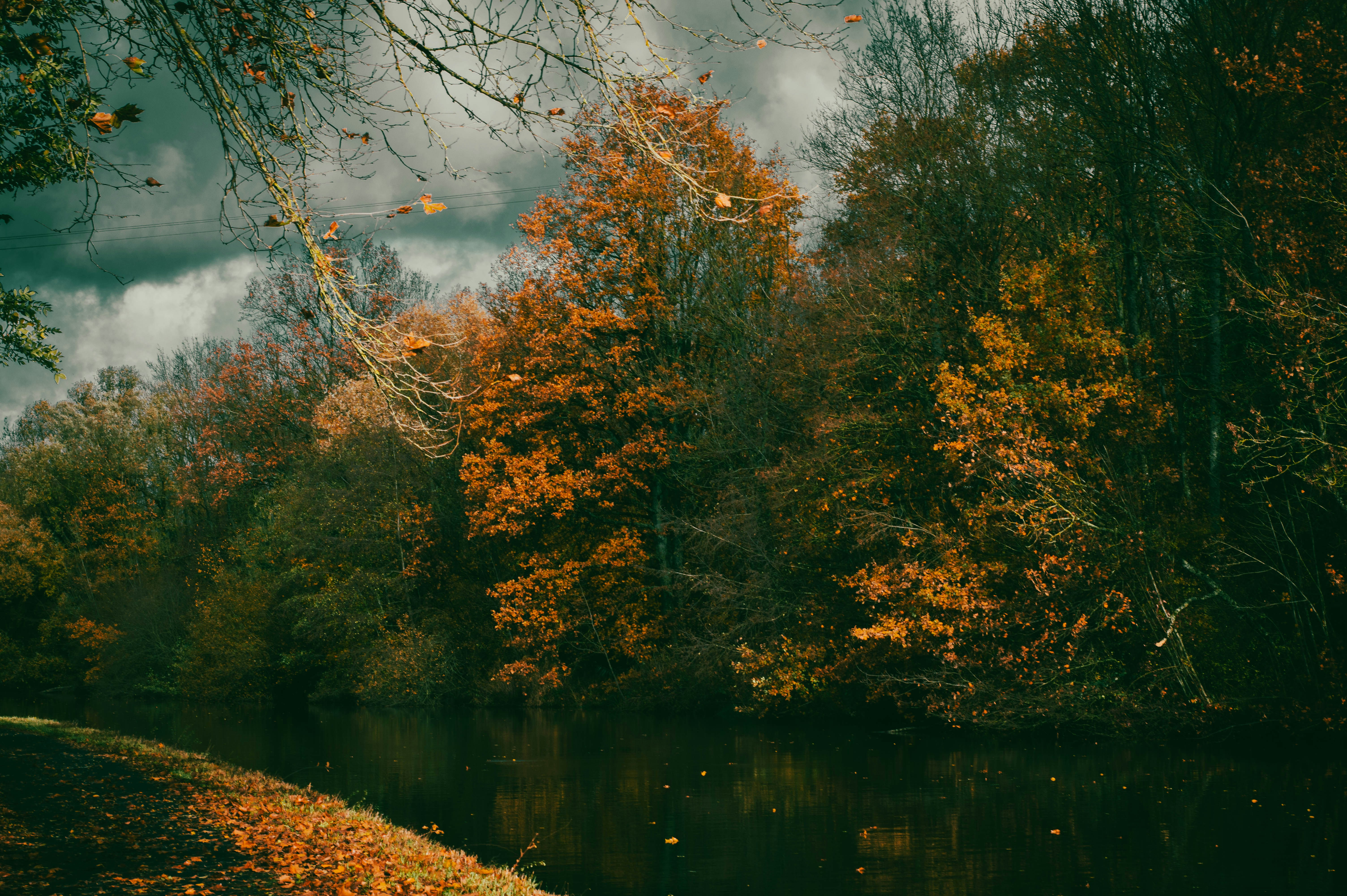 Image by Florian K. via Unsplash