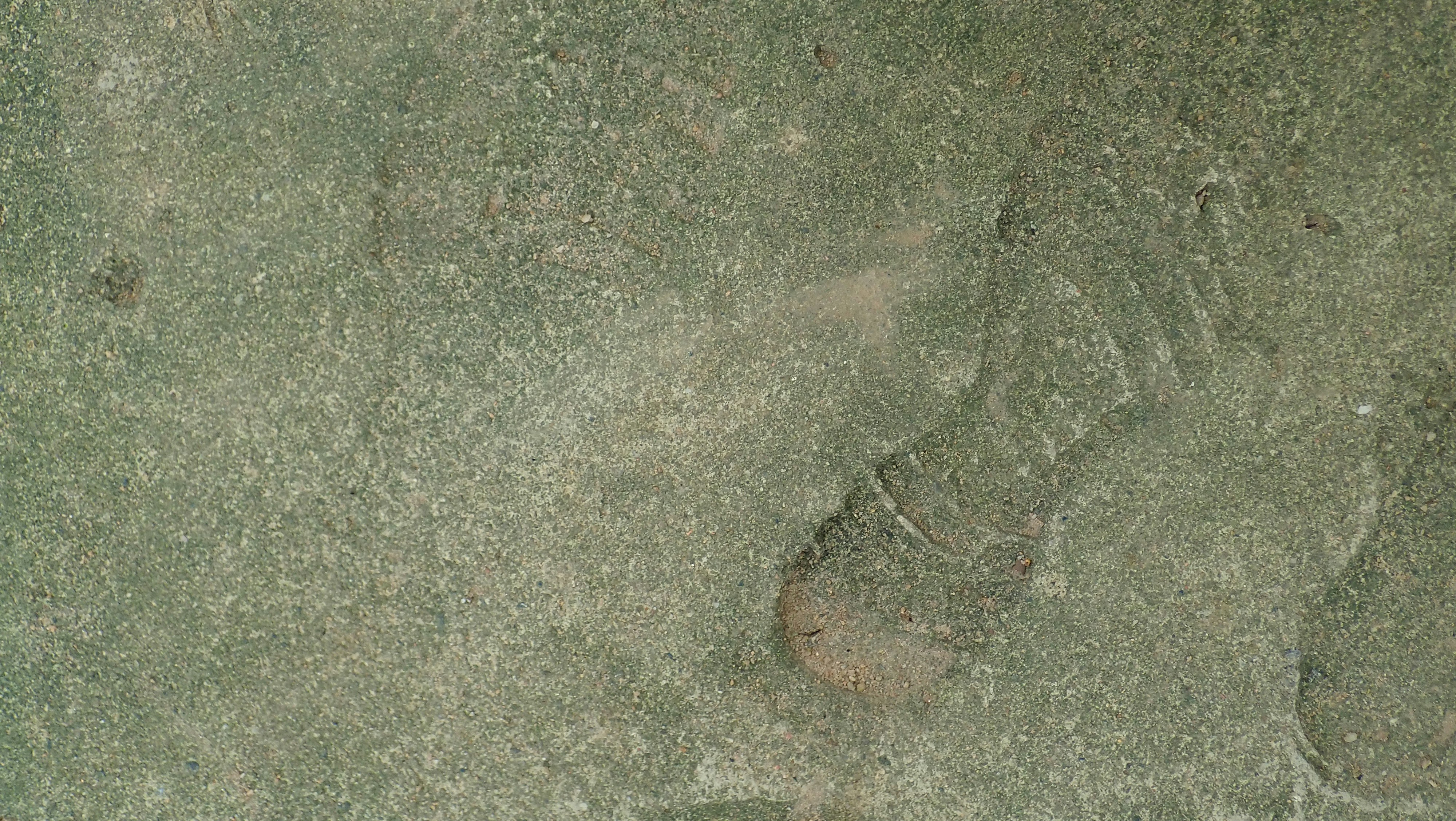 Märkisch-Oderland mit dem Rad entdecken: Von Letschin durch das Oderbruch