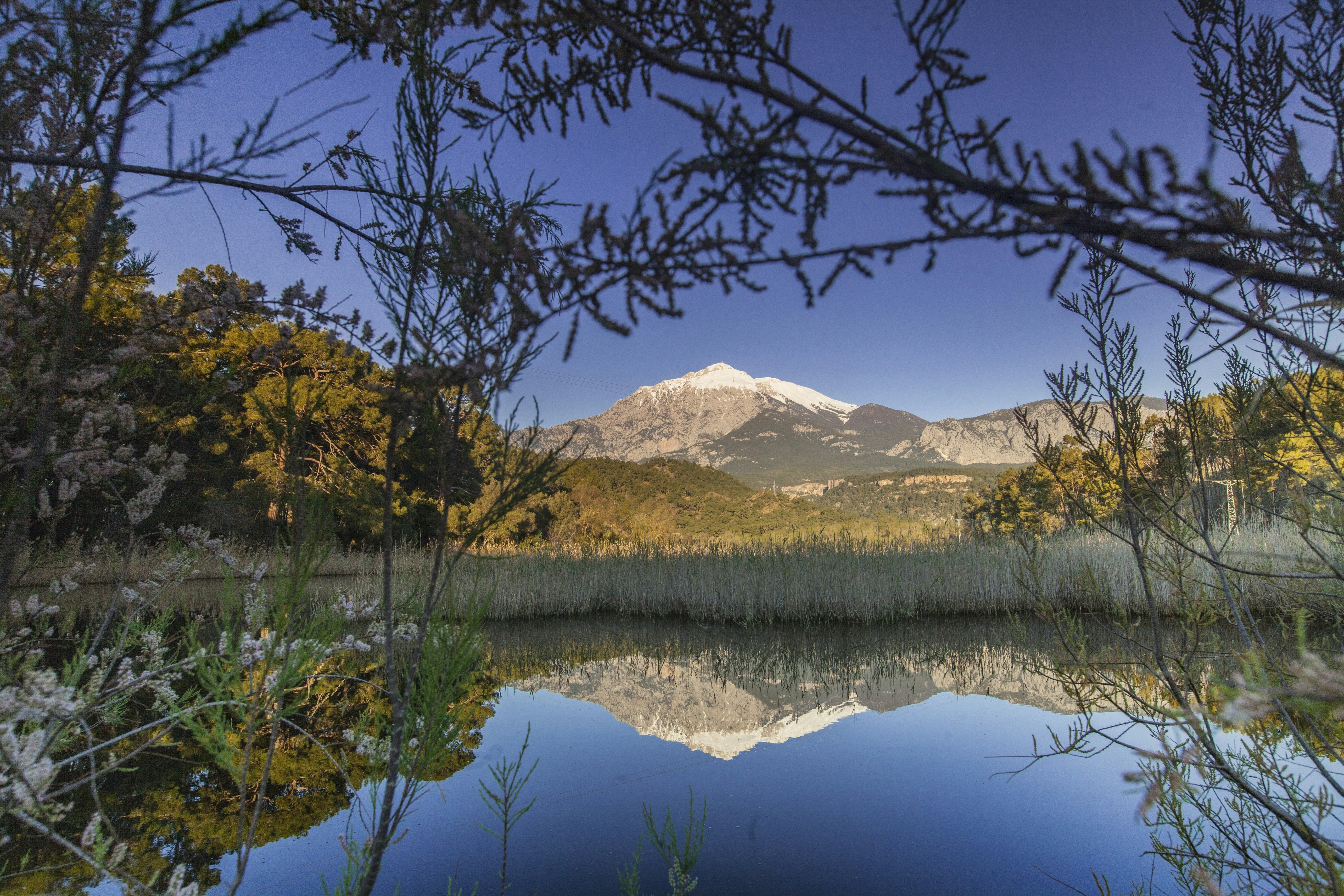 Photo by maho_58haco2023